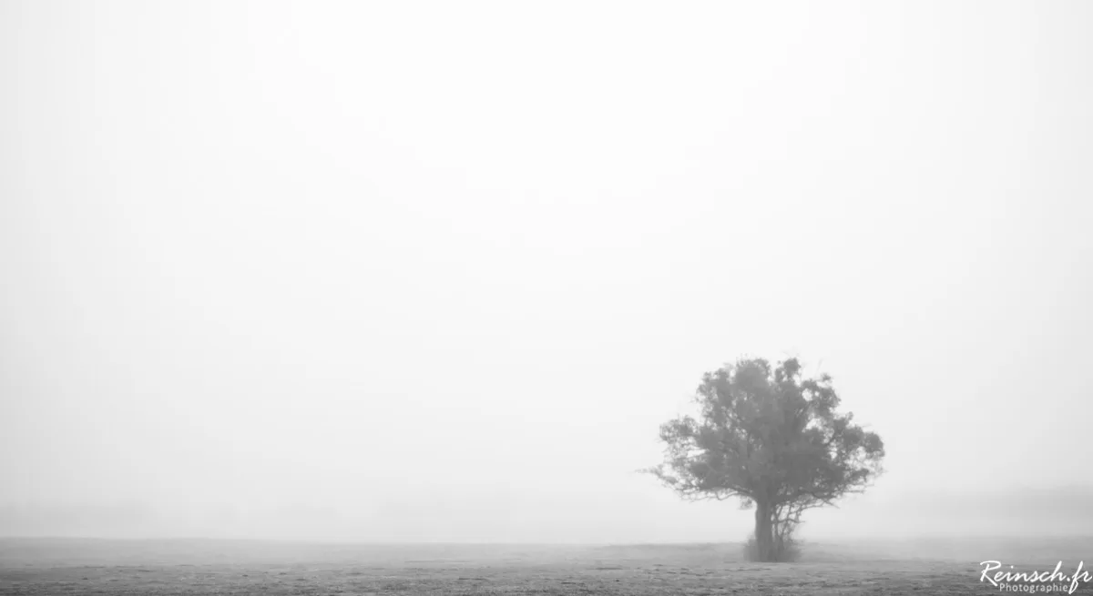 Paysages