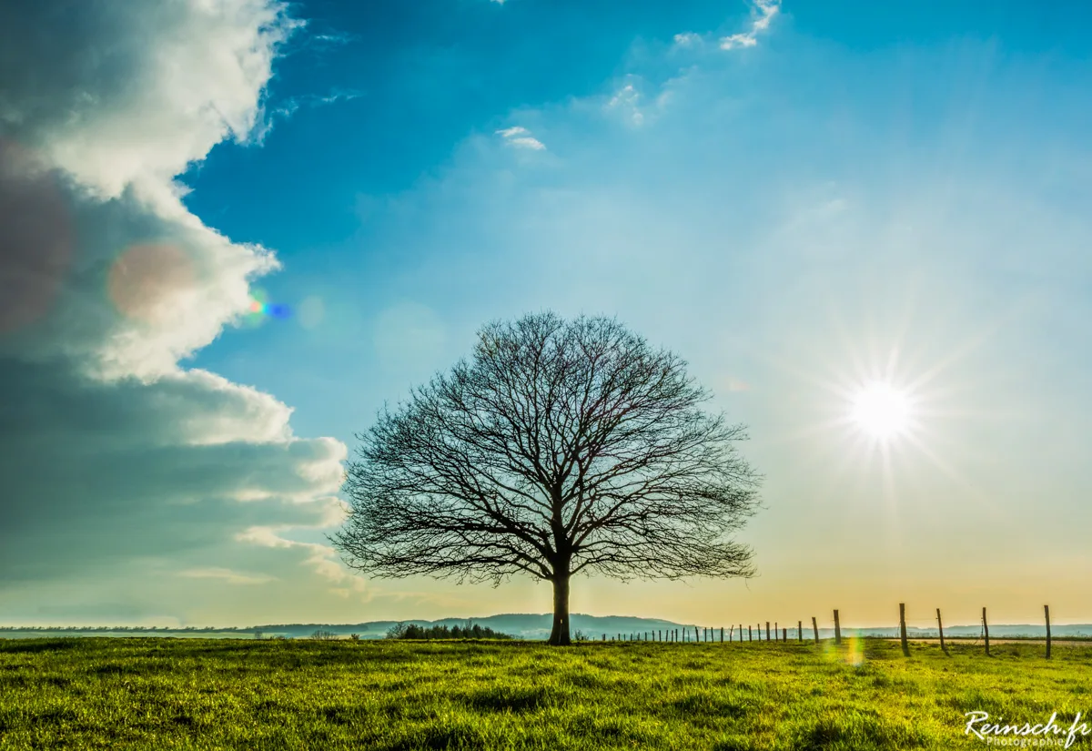 Paysages