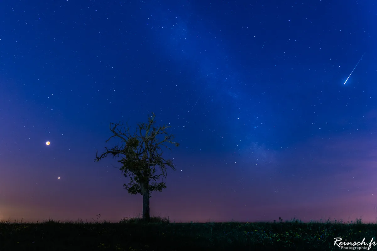 Paysages
