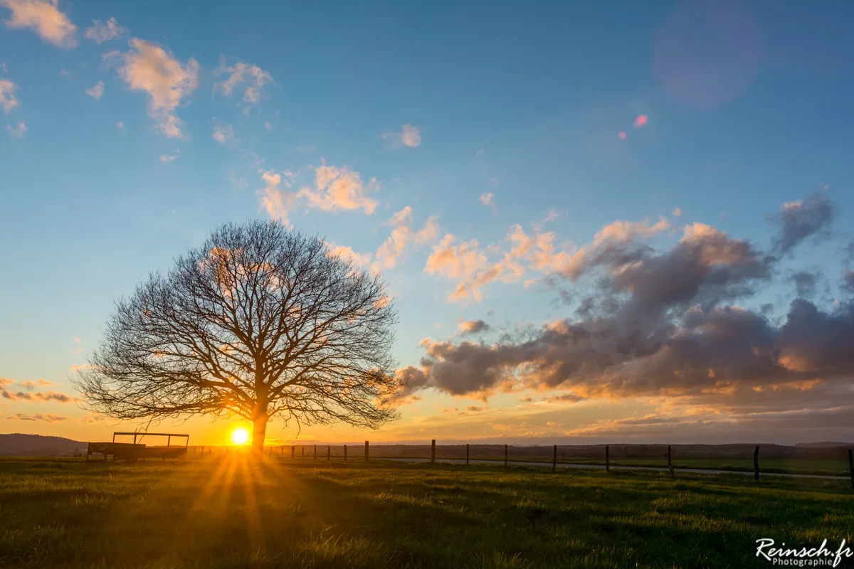 Paysages