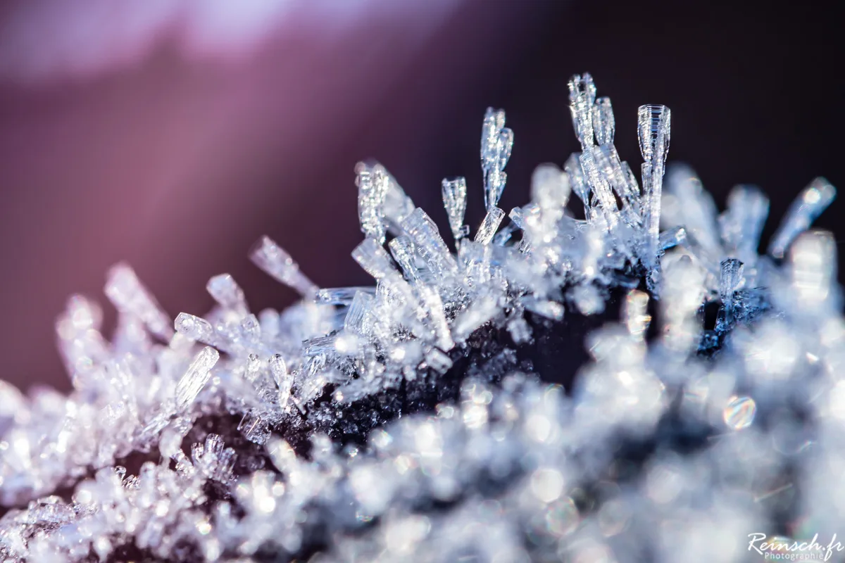 Macro