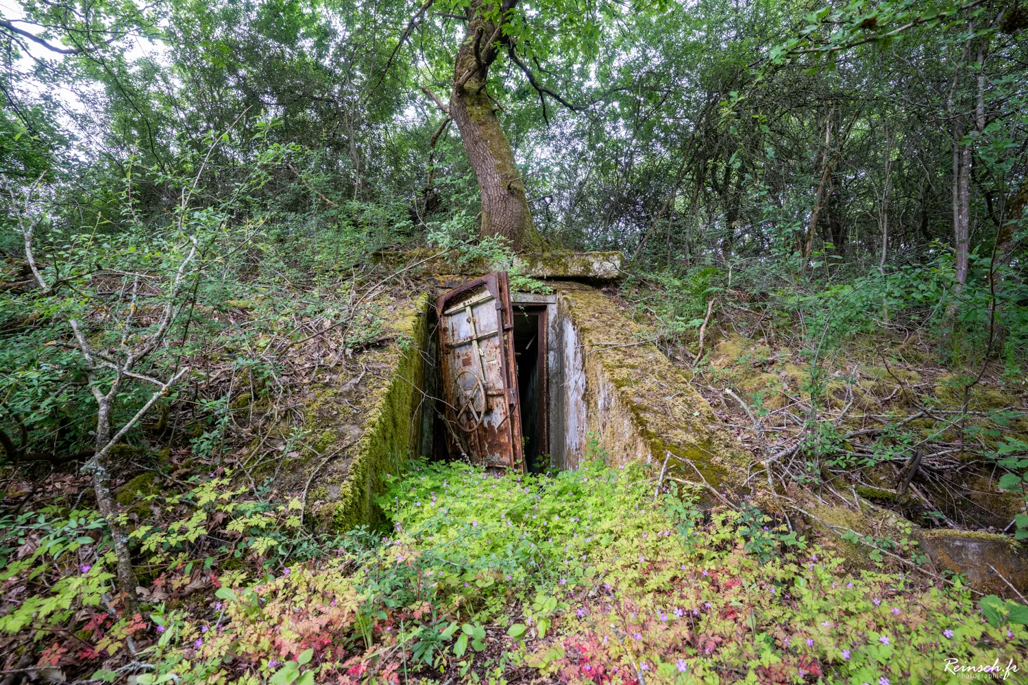 Urbex